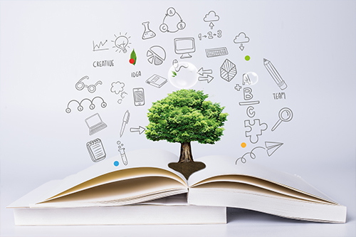 國際學(xué)校課程