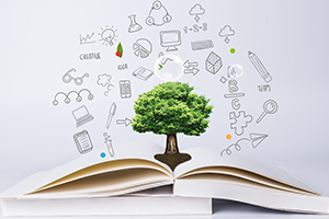 開設AP課程的國際學校這么多，到底好在哪？