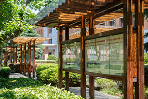 國際學校小、初、高不同階段入學，都有怎樣的影響？