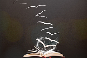 非京籍孩子就讀國(guó)際學(xué)校常見(jiàn)問(wèn)題匯總