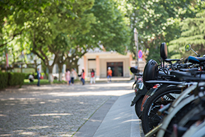 國際學(xué)校都是這樣招生的，這五步需要了解！