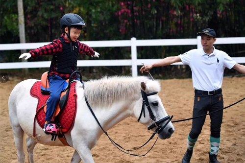 民辦國際學(xué)校、公立國際對比分析