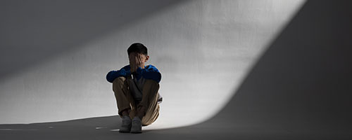 海口楓葉國際學校課程學分評測及分析